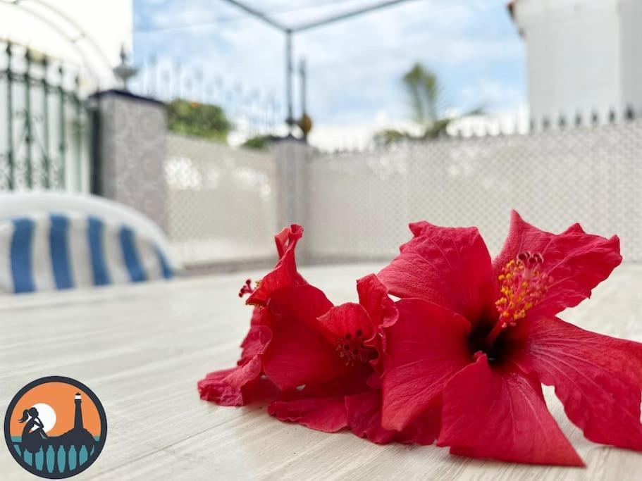 Cala Mariquilla La Caneja By Bossh! Apartments Chipiona Bagian luar foto